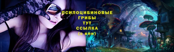 СК Балахна