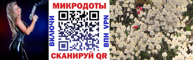 Галлюциногенные грибы Cubensis дарнет шоп Белая Холуница
